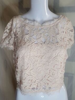 Adrianna Papell Lace Crop Top in Light Blush